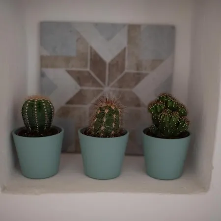 A Un Passo Dal Blu Apartment *