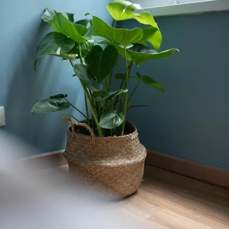 Apartment A Un Passo Dal Blu Genoa