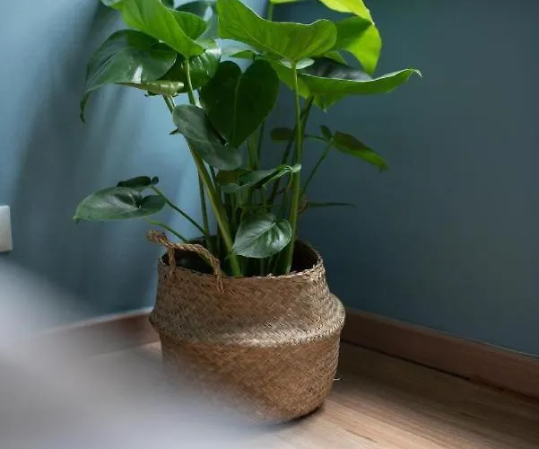 Apartament A Un Passo Dal Blu Genua